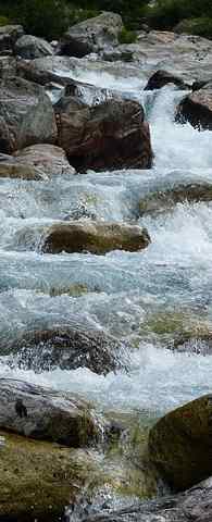 Der Bach als fließendes natürliches Gewässer