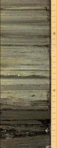 Sedimentkern